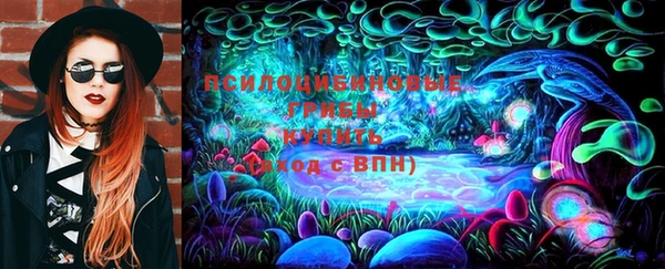 соль ск Белокуриха