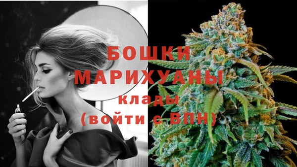 соль ск Белокуриха