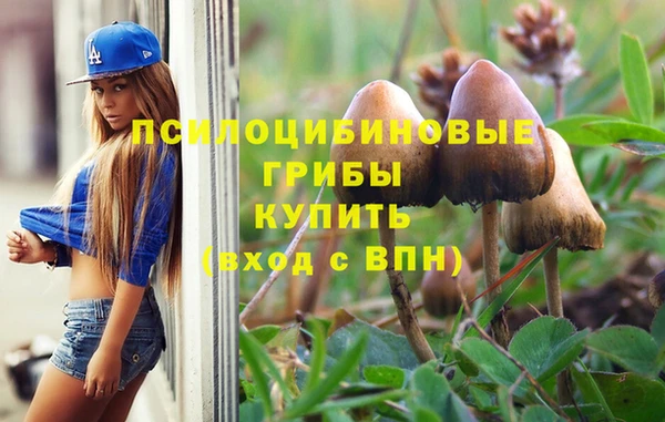 герыч Сосновка