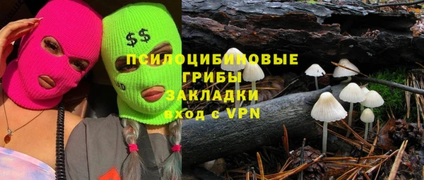 соль ск Белокуриха