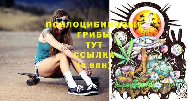 соль ск Белокуриха