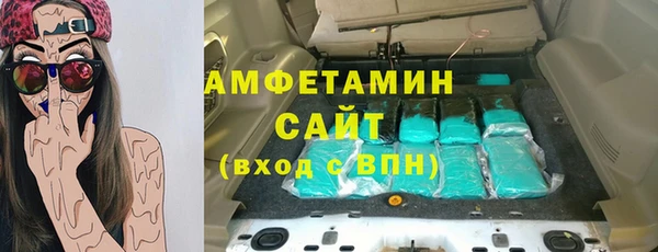 крисы Богородицк